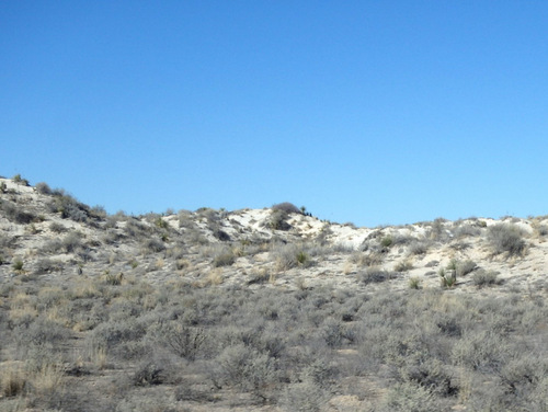 In the Chihuahua Desert looking at the Innerdunal Area.