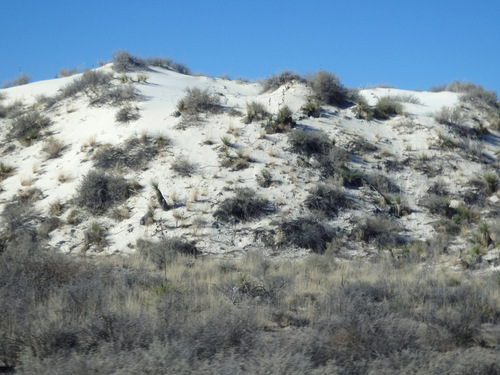 In the Chihuahua Desert looking at the Innerdunal Area.