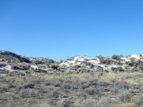 In the Chihuahua Desert looking at the Innerdunal Area.