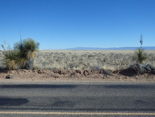 In the Chihuahua Desert looking at the Innerdunal Area.