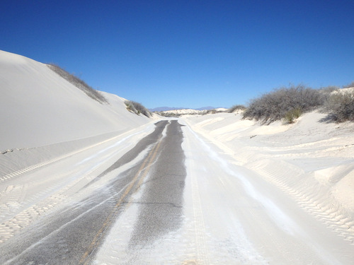 In White Sands, NM, looking at the Innerdunal Area.