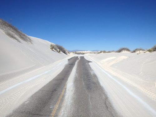 In White Sands, NM, looking at the Innerdunal Area.