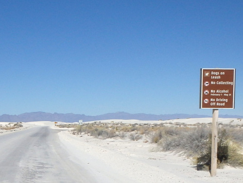 Looking northwest at the San Andres Mountains.