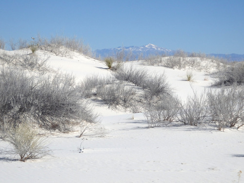 Looking east Sierra Blanco, highest peak of the Sacramento Mountains.