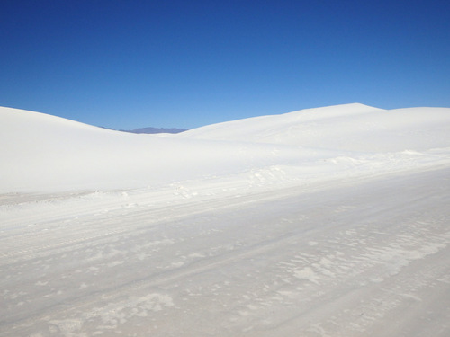 In the Heart of the Dunes.