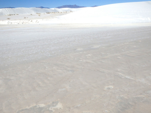 White Sands, NM: In the Heart of the Dunes.