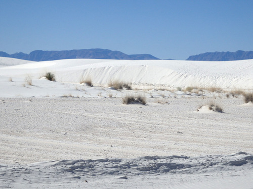 White Sands, NM: Cycling out on the sand.