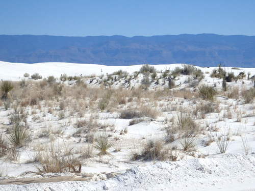 White Sands, NM: Cycling out on the sand.