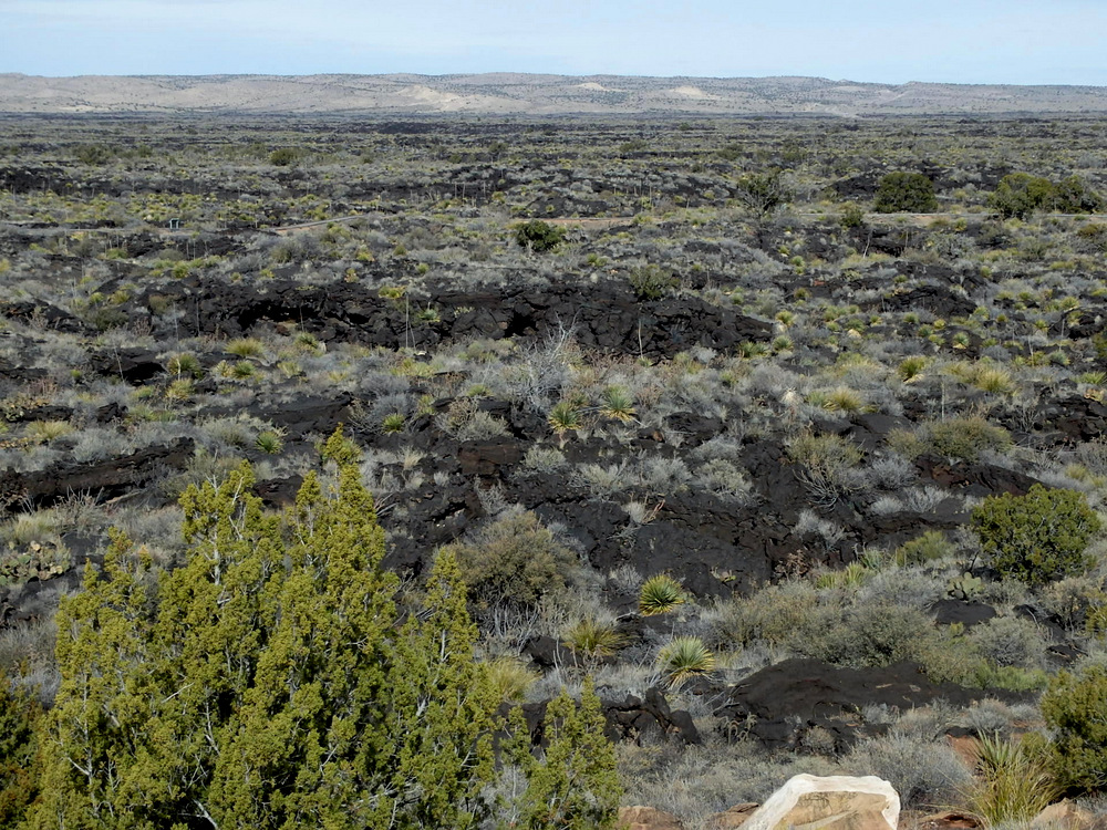 Valley of Fires, New Mexico.