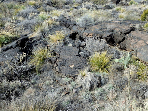 Valley of Fires, New Mexico.