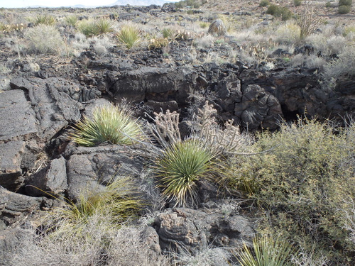 Valley of Fires, New Mexico.