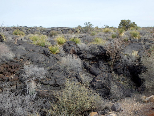 Valley of Fires, New Mexico.