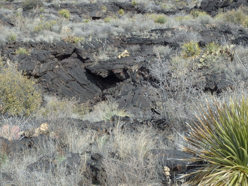 Valley of Fires, New Mexico.