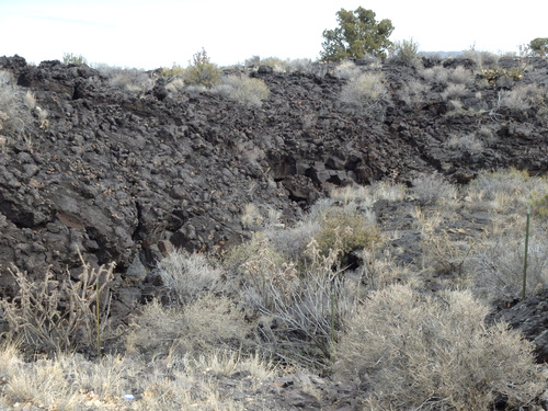 Some streams of the lava flow went around pockets of old land.