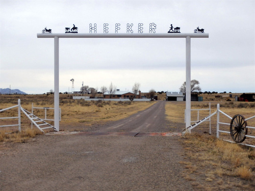 Hefker Ranch - What we liked was the Calf chasing the little child.