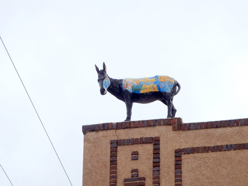 A close-up of Burro #18.