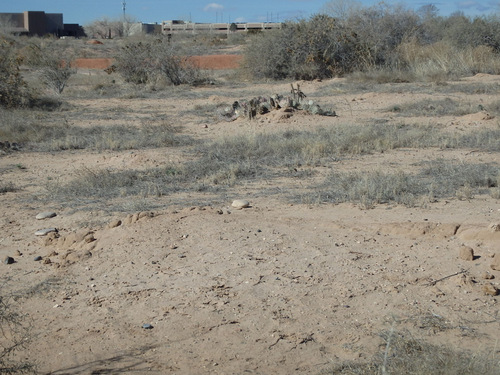 The Old Kuaua Pueblo Site.