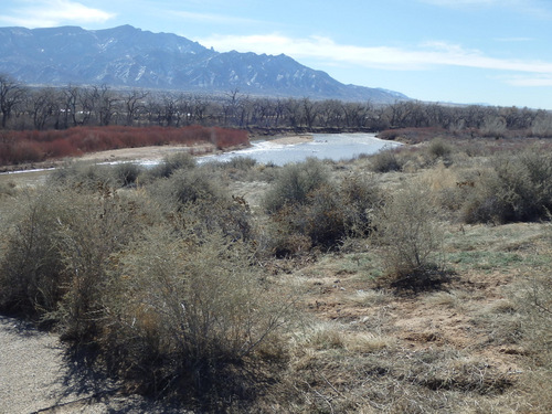 The Old Kuaua Pueblo Site.