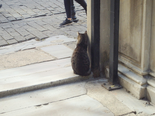 Istanbul.